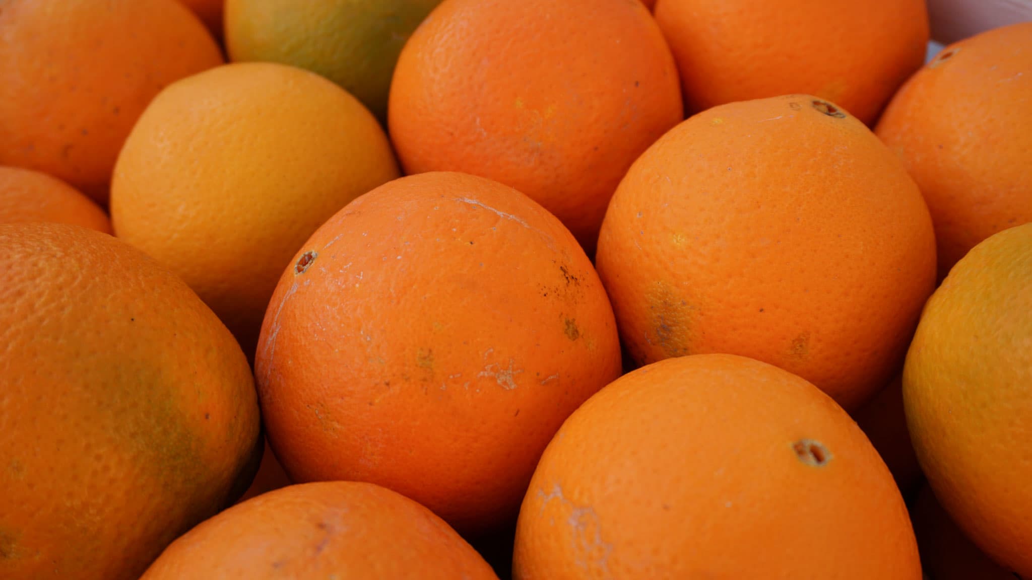 Sizilianische Orangen – Bild 3