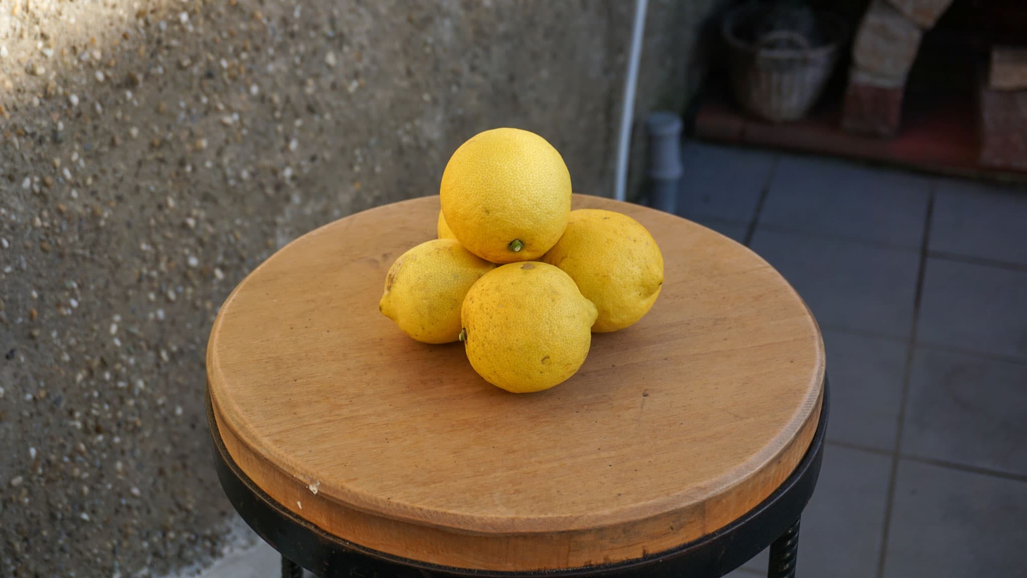 Sizilianische Zitronen – Bild 2